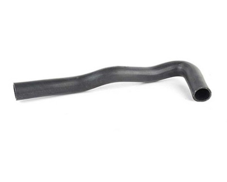 radiator hose