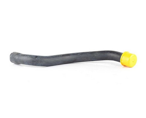radiator hose
