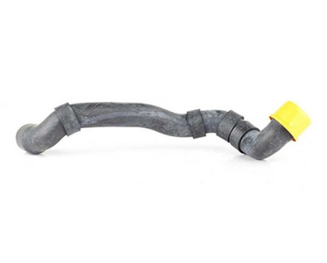 radiator hose