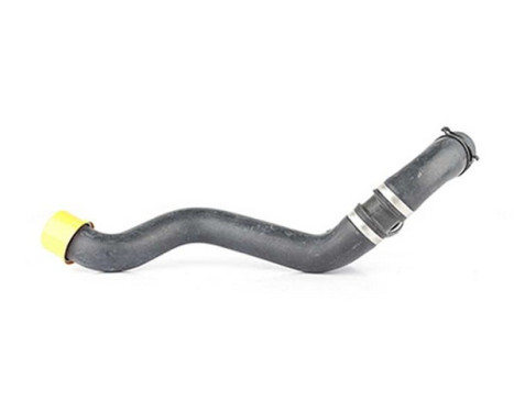 radiator hose