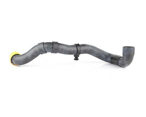 radiator hose