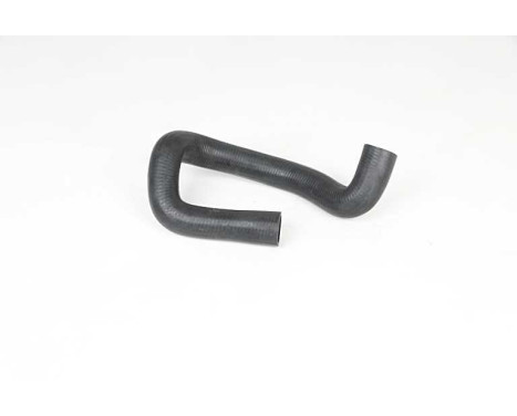 radiator hose