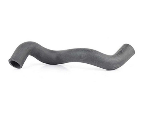 radiator hose