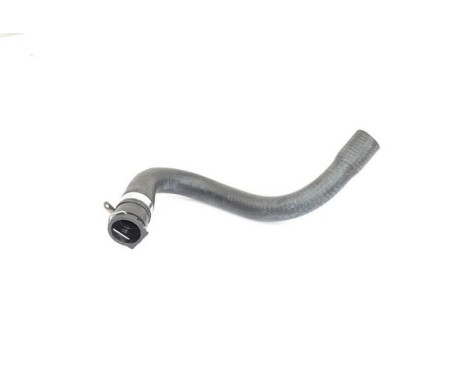radiator hose