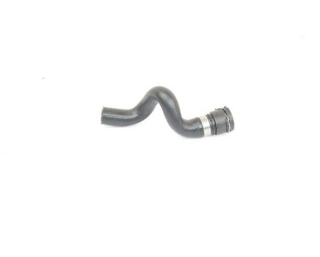 radiator hose