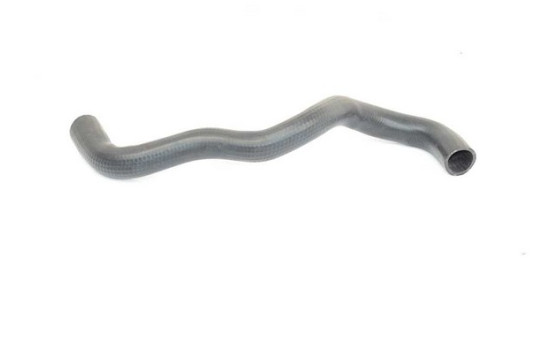 radiator hose