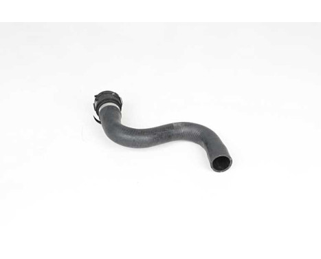 radiator hose