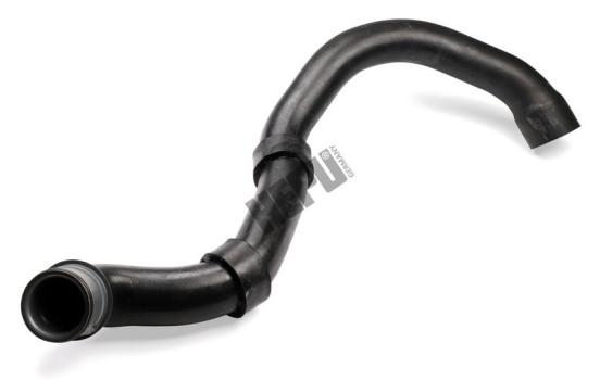 Radiator hose