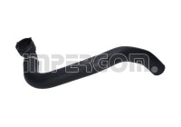 Radiator hose