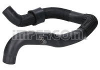 Radiator hose