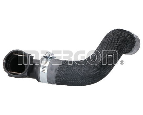 Radiator hose