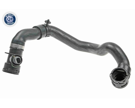 Radiator hose