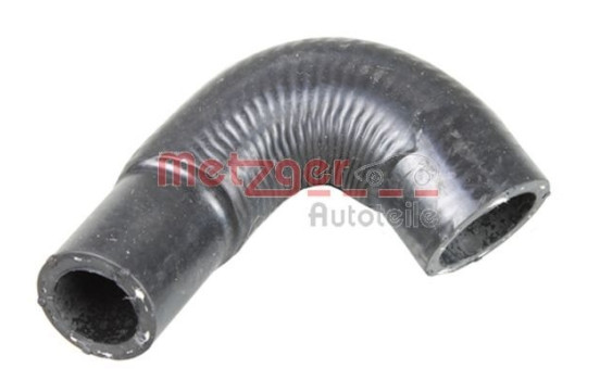 Radiator hose