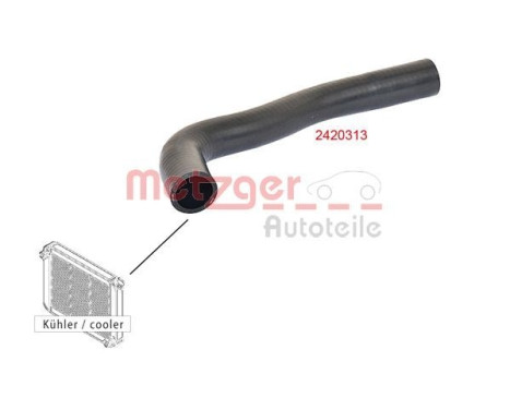 Radiator hose, Image 2