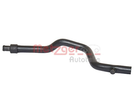 Radiator hose