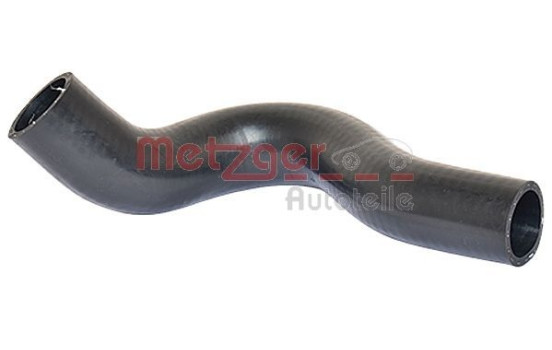 Radiator hose