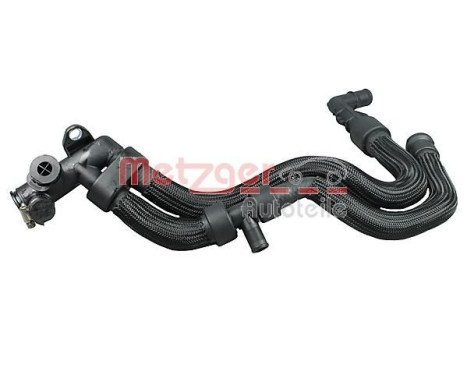 Radiator hose