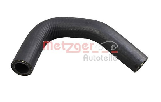 Radiator hose