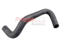 Radiator hose