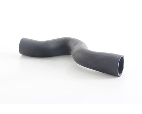 radiator hose, Image 2