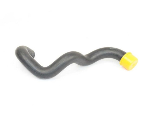 radiator hose, Image 2