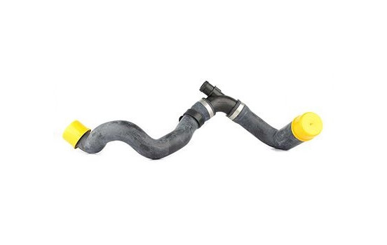 radiator hose, Image 2