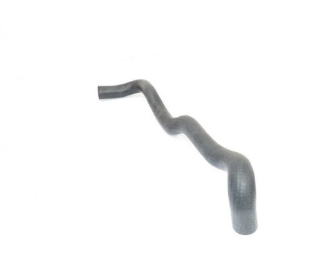 radiator hose, Image 2