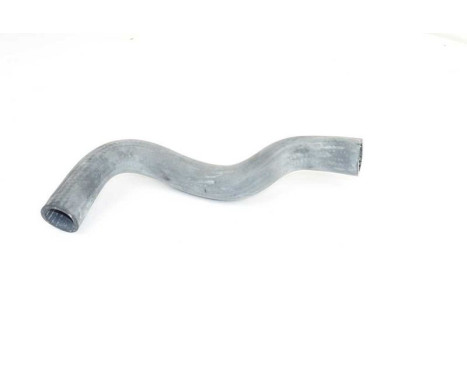 radiator hose, Image 2