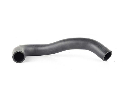 radiator hose, Image 2