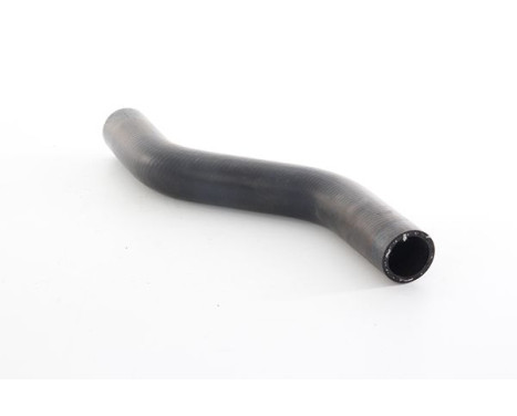 radiator hose, Image 2