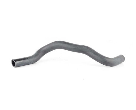 radiator hose, Image 2