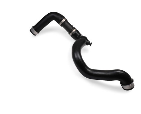 Radiator hose