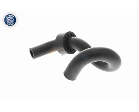 Radiator hose, Image 6