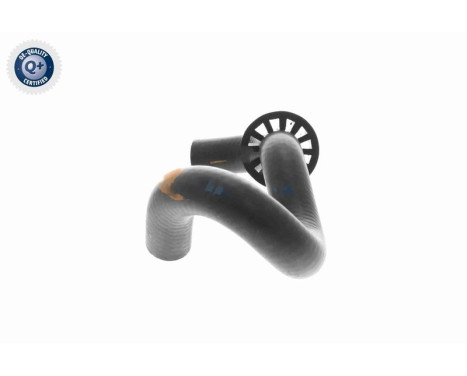 Radiator hose, Image 7