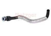 Radiator hose