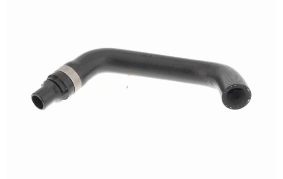 Radiator hose, Image 4