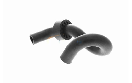 Radiator hose, Image 4