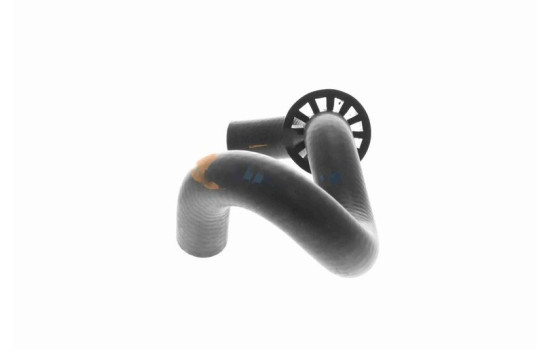 Radiator hose, Image 5