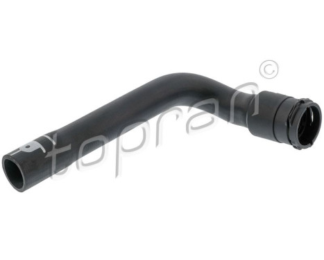 Radiator Hose