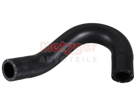 Radiator hose