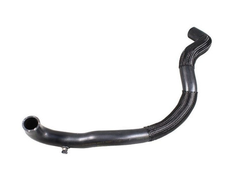 Radiator hose