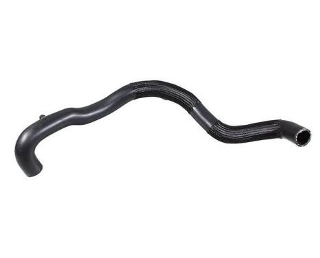 Radiator hose, Image 2