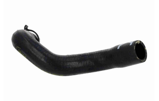 Radiator hose, Image 4