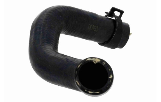 Radiator hose, Image 6
