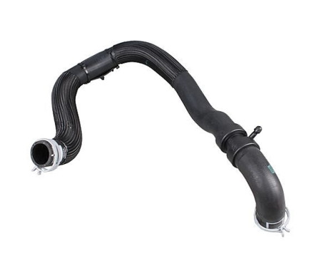 Radiator hose, Image 3