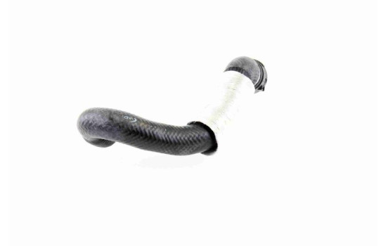 Radiator hose, Image 5