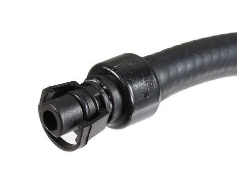 Radiator hose, Image 2