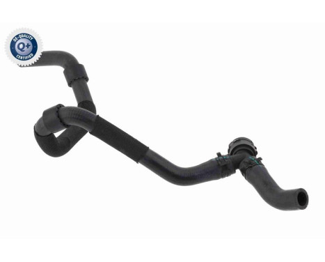 Radiator hose, Image 6