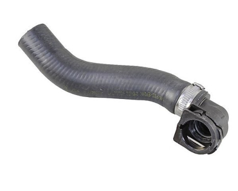 Radiator hose