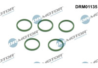 Seal ring, charge air hose